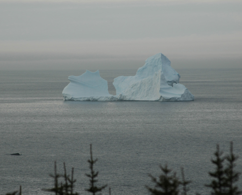 Iceberg in Red Bay